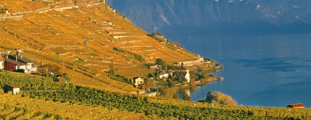 UNESCO Lavaux